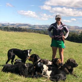 Shepherd, Kate, and her Dogs join our team.